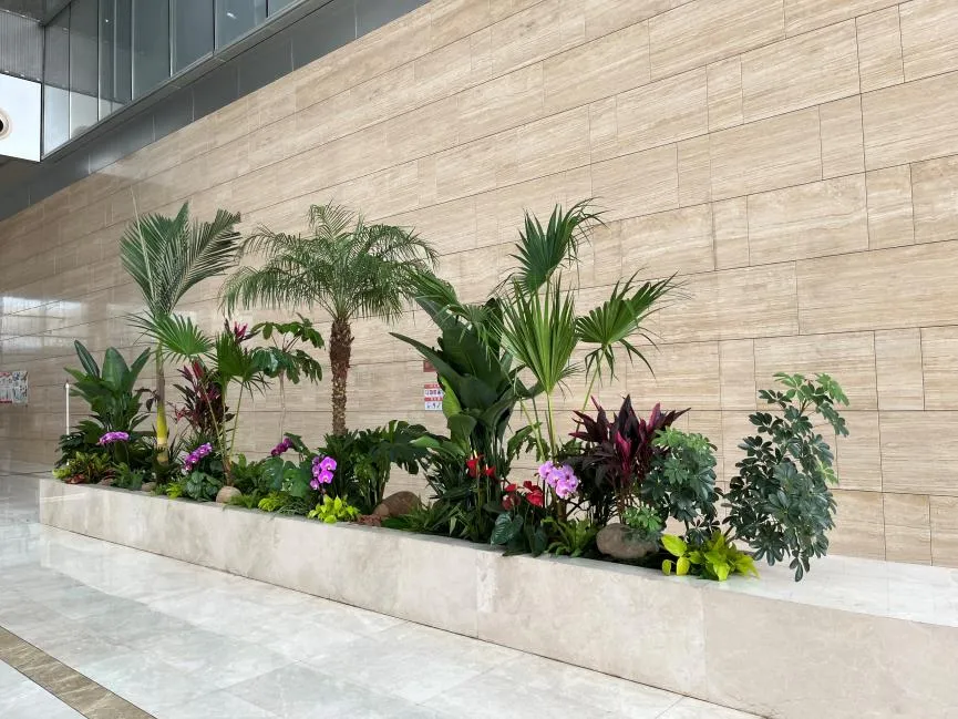 宁波北仑绿植出租，开启绿色办公新体验